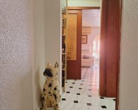 Herverkoop - Appartement -
Torrevieja - Acequion