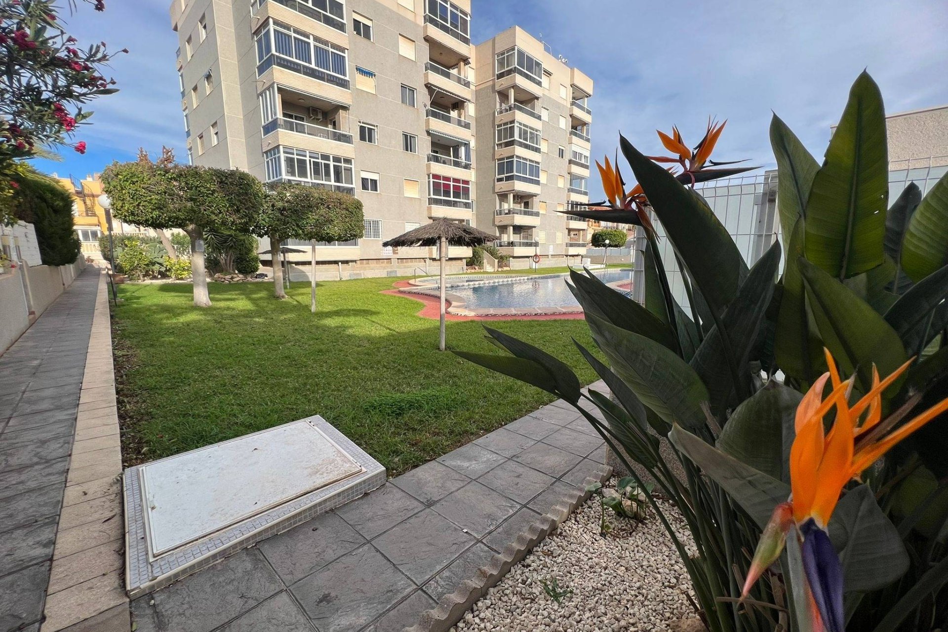 Herverkoop - Appartement -
Torrevieja - Aguas Nuevas