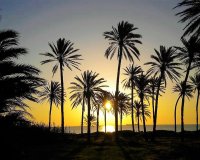 Herverkoop - Appartement -
Torrevieja - Centro