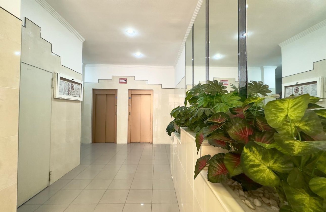 Herverkoop - Appartement -
Torrevieja - Centro