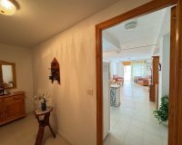 Herverkoop - Appartement -
Torrevieja - Centro