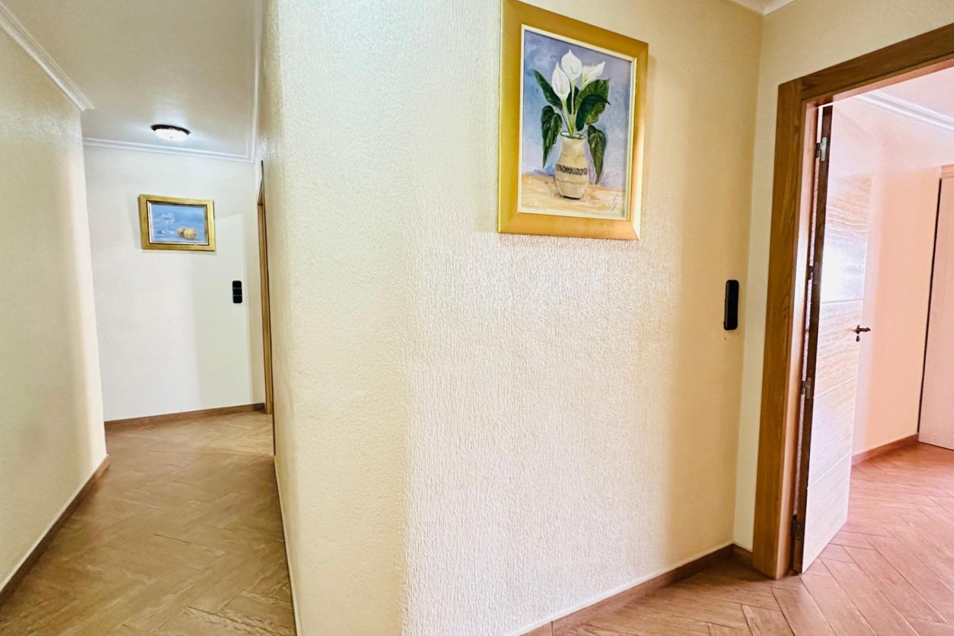 Herverkoop - Appartement -
Torrevieja - Centro