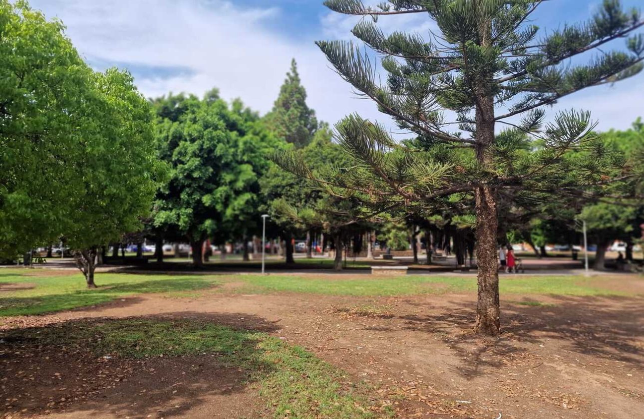 Herverkoop - Appartement -
Torrevieja - Costa Blanca