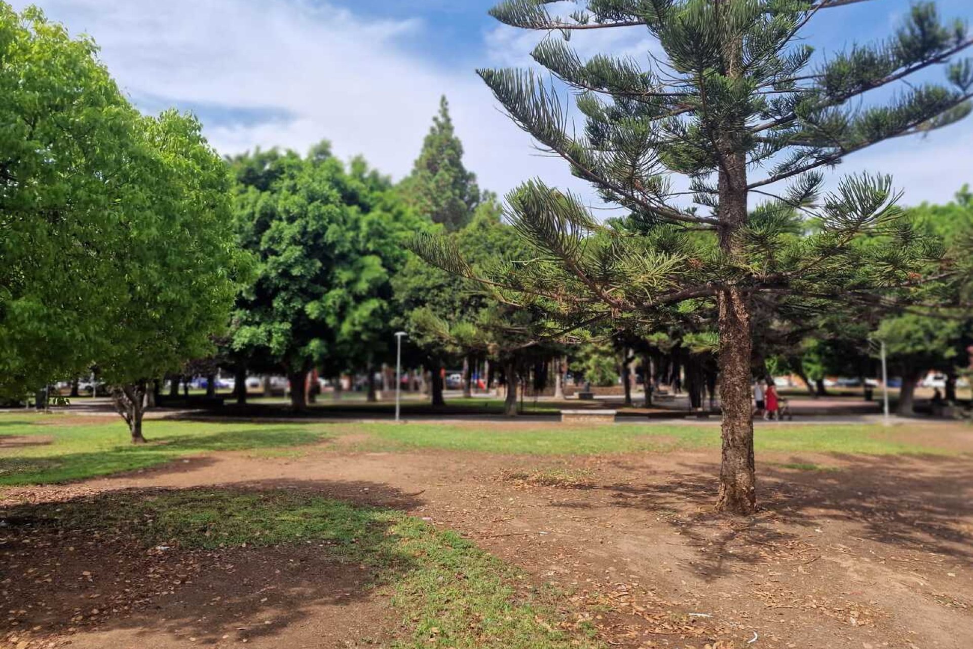 Herverkoop - Appartement -
Torrevieja - Costa Blanca