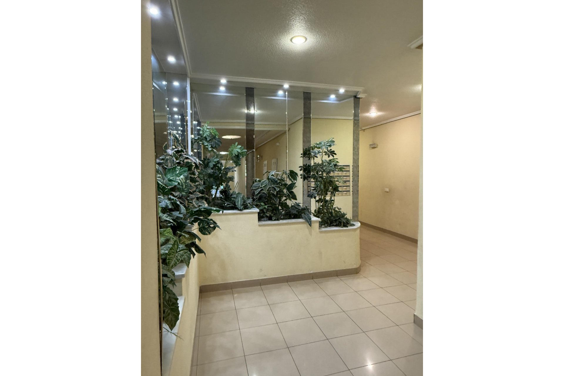 Herverkoop - Appartement -
Torrevieja - Costa Blanca