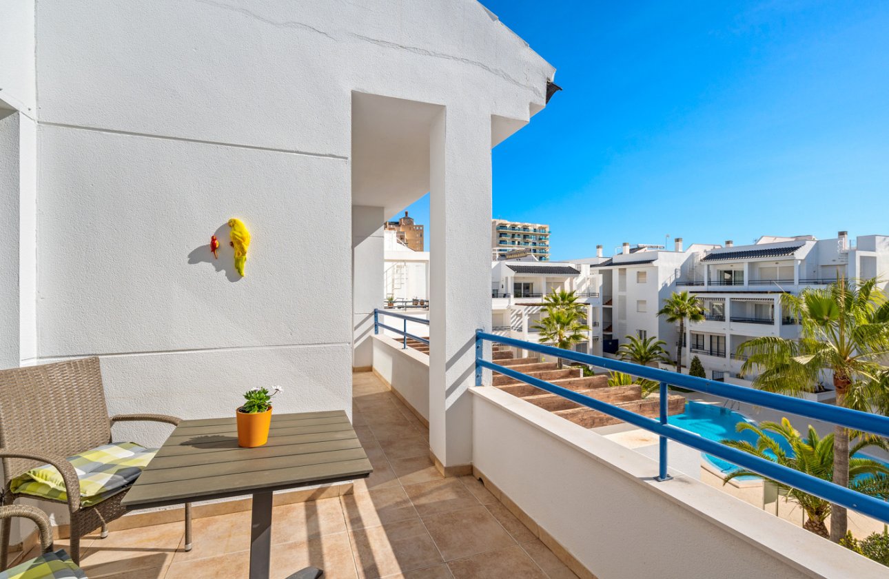 Herverkoop - Appartement -
Torrevieja - Costa Blanca