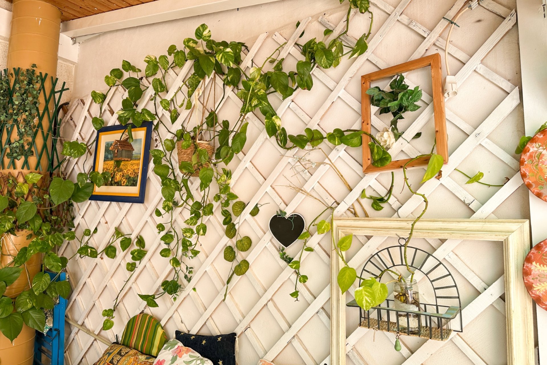 Herverkoop - Appartement -
Torrevieja - Costa Blanca