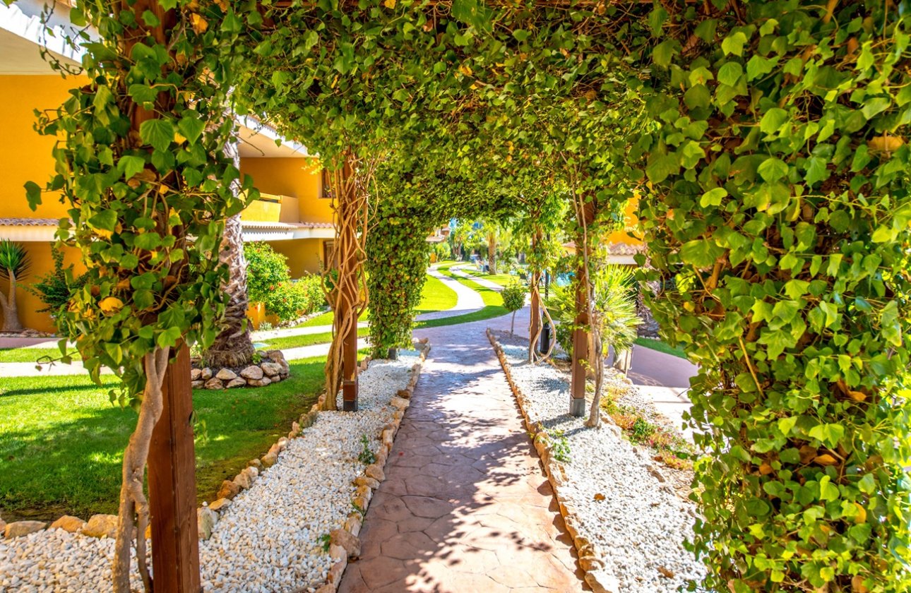 Herverkoop - Appartement -
Torrevieja - Costa Blanca