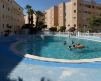 Herverkoop - Appartement -
Torrevieja - Costa Blanca