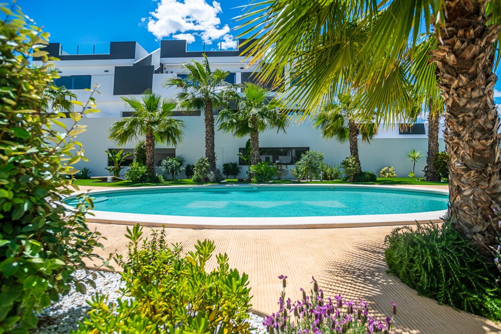 Herverkoop - Appartement -
Torrevieja - Costa Blanca