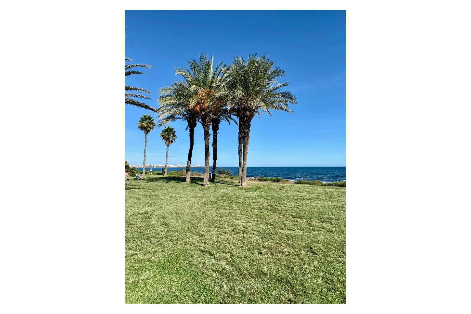Herverkoop - Appartement -
Torrevieja - Costa Blanca