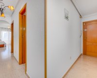 Herverkoop - Appartement -
Torrevieja - Estacion De Autobuses