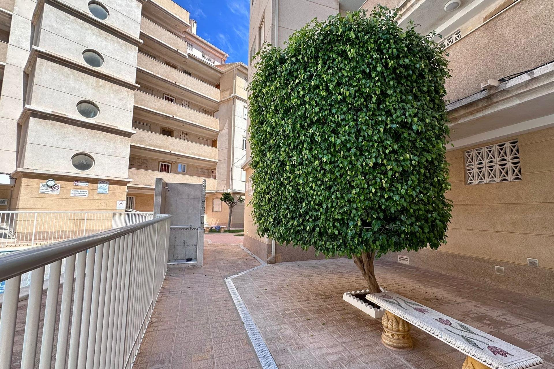 Herverkoop - Appartement -
Torrevieja - Habaneras