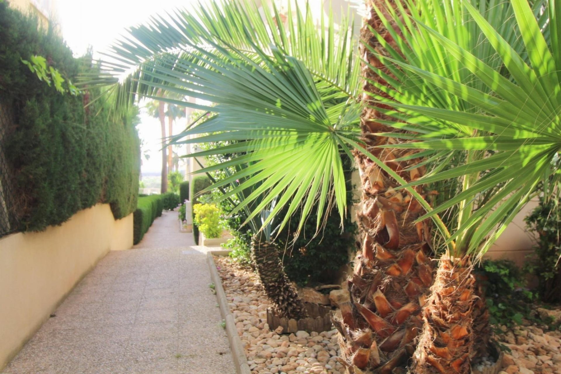 Herverkoop - Appartement -
Torrevieja - La Veleta