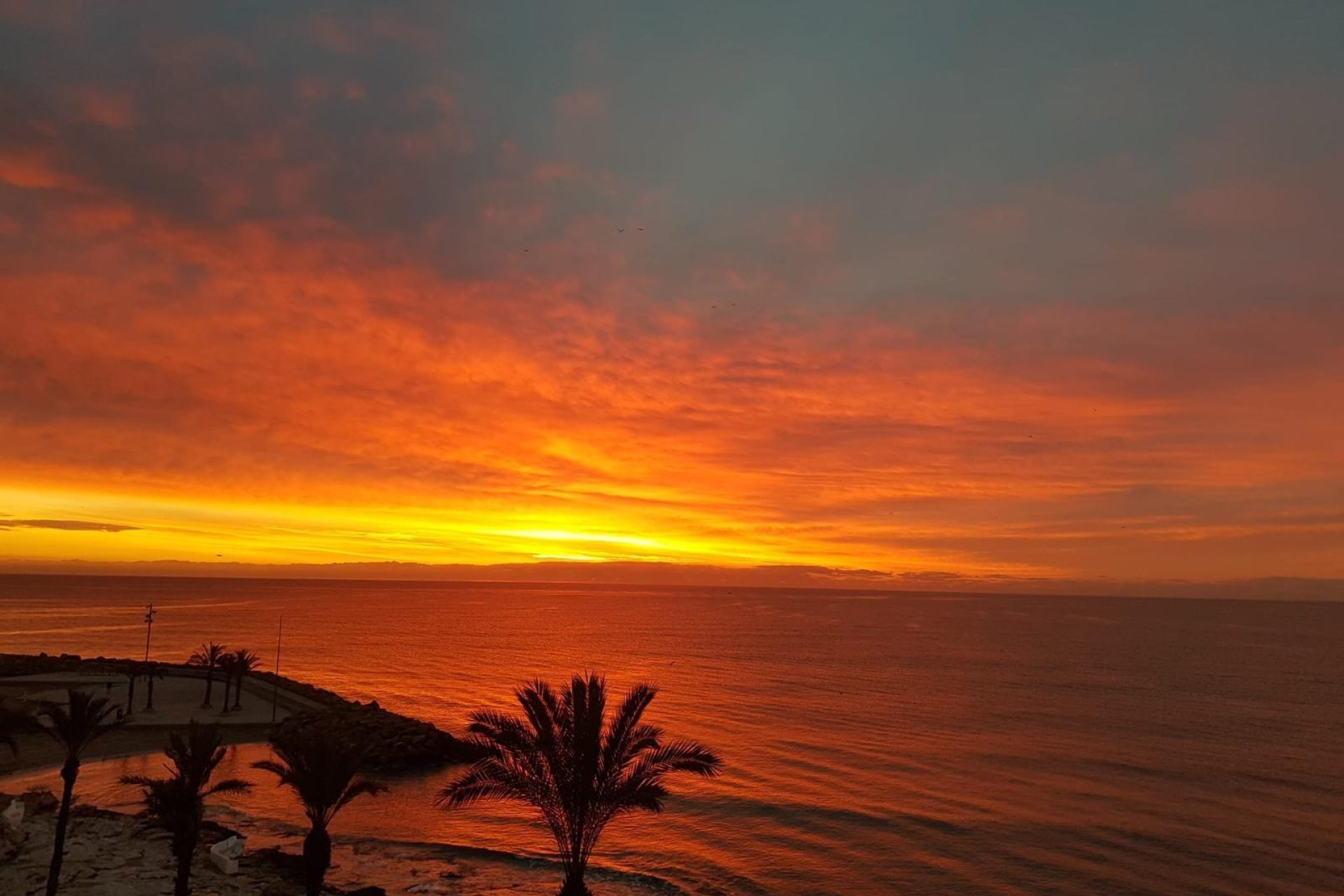 Herverkoop - Appartement -
Torrevieja - Las Piscinas Naturales