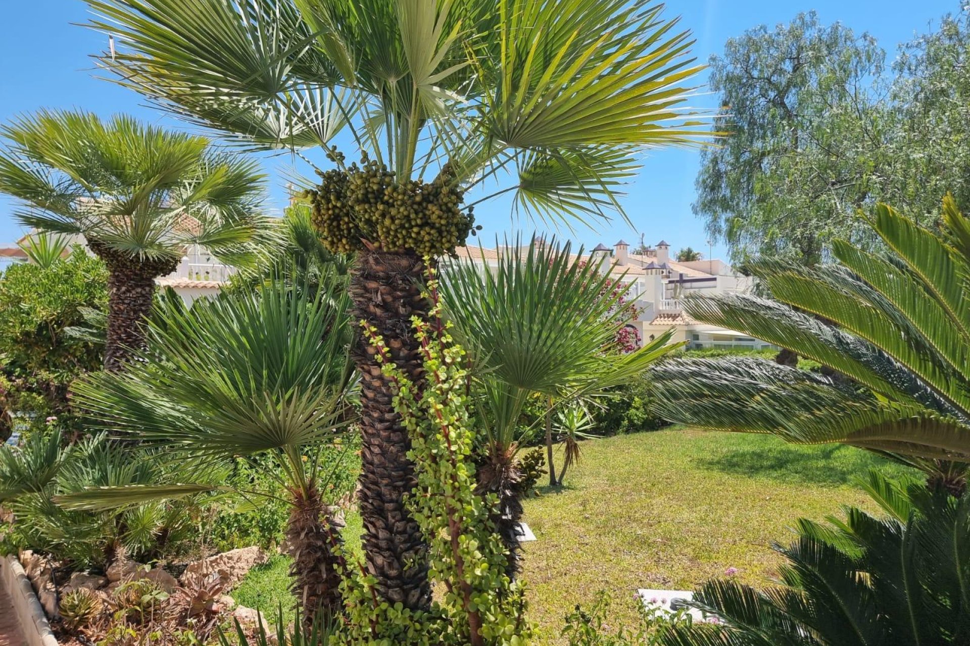 Herverkoop - Appartement -
Torrevieja - Los Balcones - Los Altos del Edén