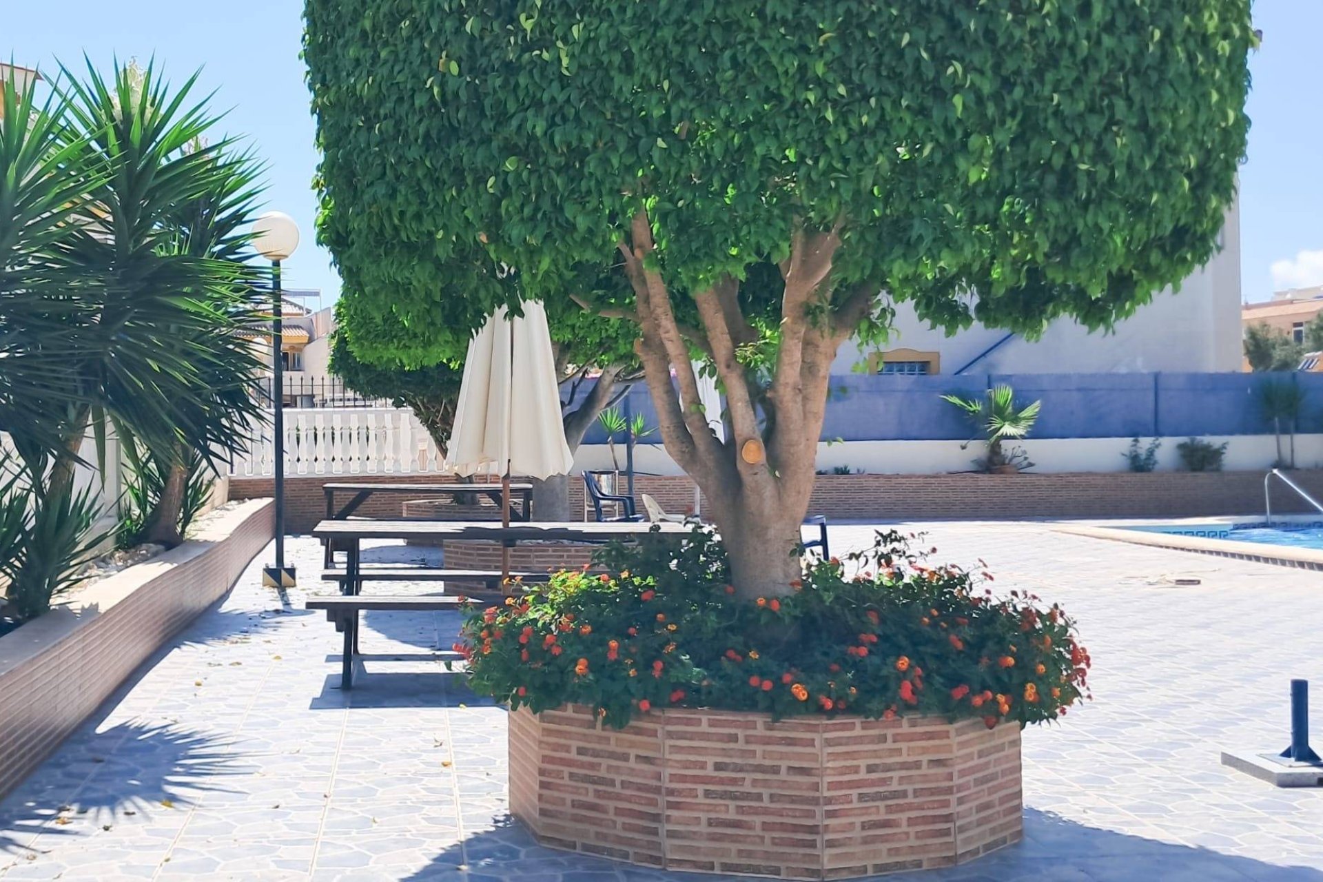 Herverkoop - Appartement -
Torrevieja - Parque Acuático - Sector 25