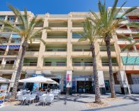 Herverkoop - Appartement -
Torrevieja - Paseo Maritimo