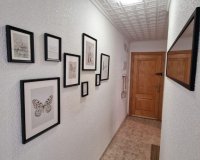 Herverkoop - Appartement -
Torrevieja - Playa de los Locos