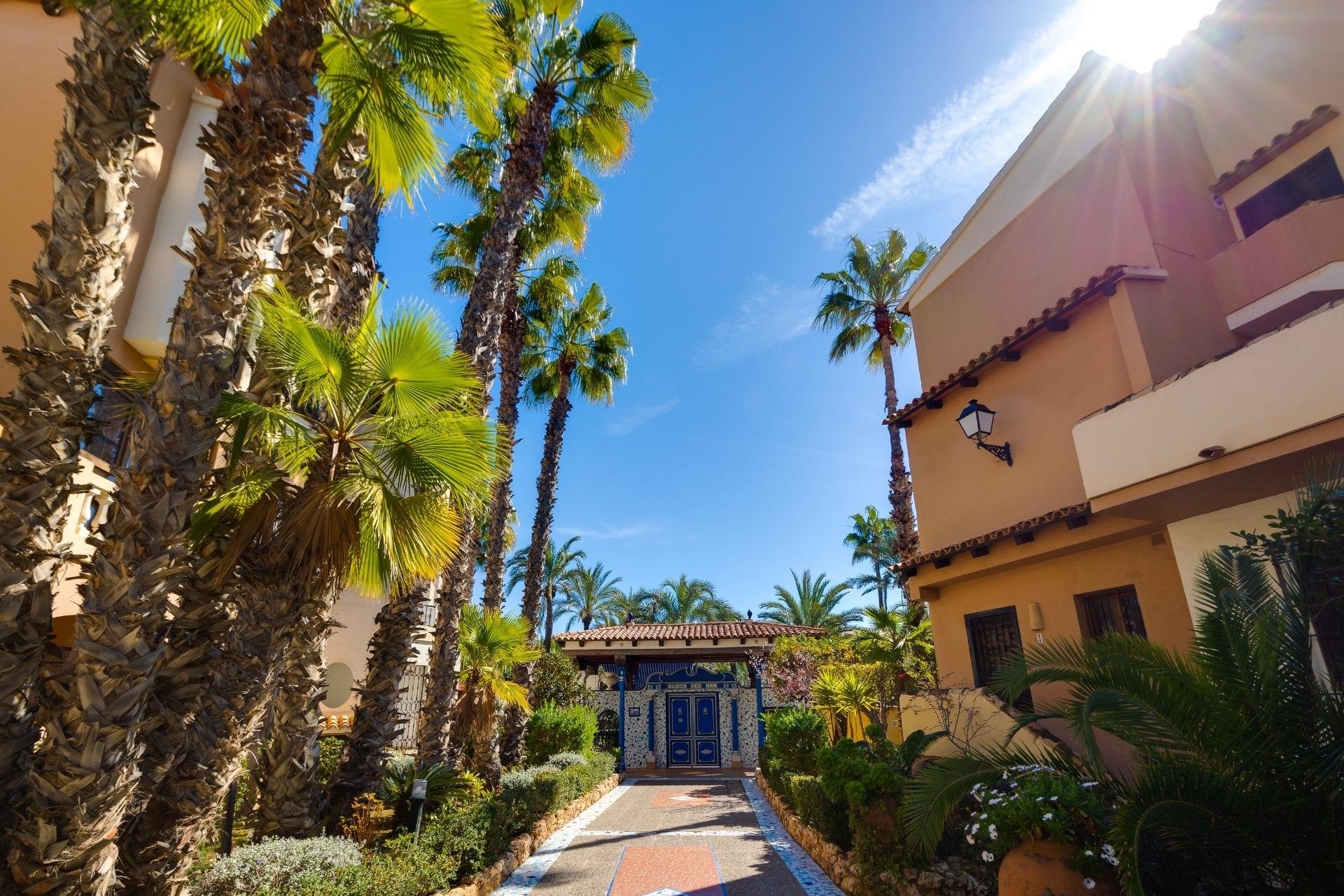 Herverkoop - Appartement -
Torrevieja - Playa de los Locos