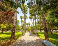 Herverkoop - Appartement -
Torrevieja - Playa De Los Naufragos