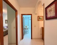 Herverkoop - Appartement -
Torrevieja - Playa del Cura