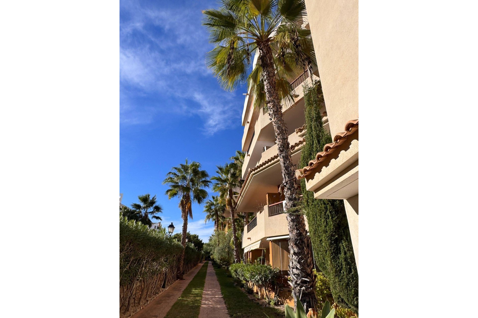 Herverkoop - Appartement -
Torrevieja - Punta Prima