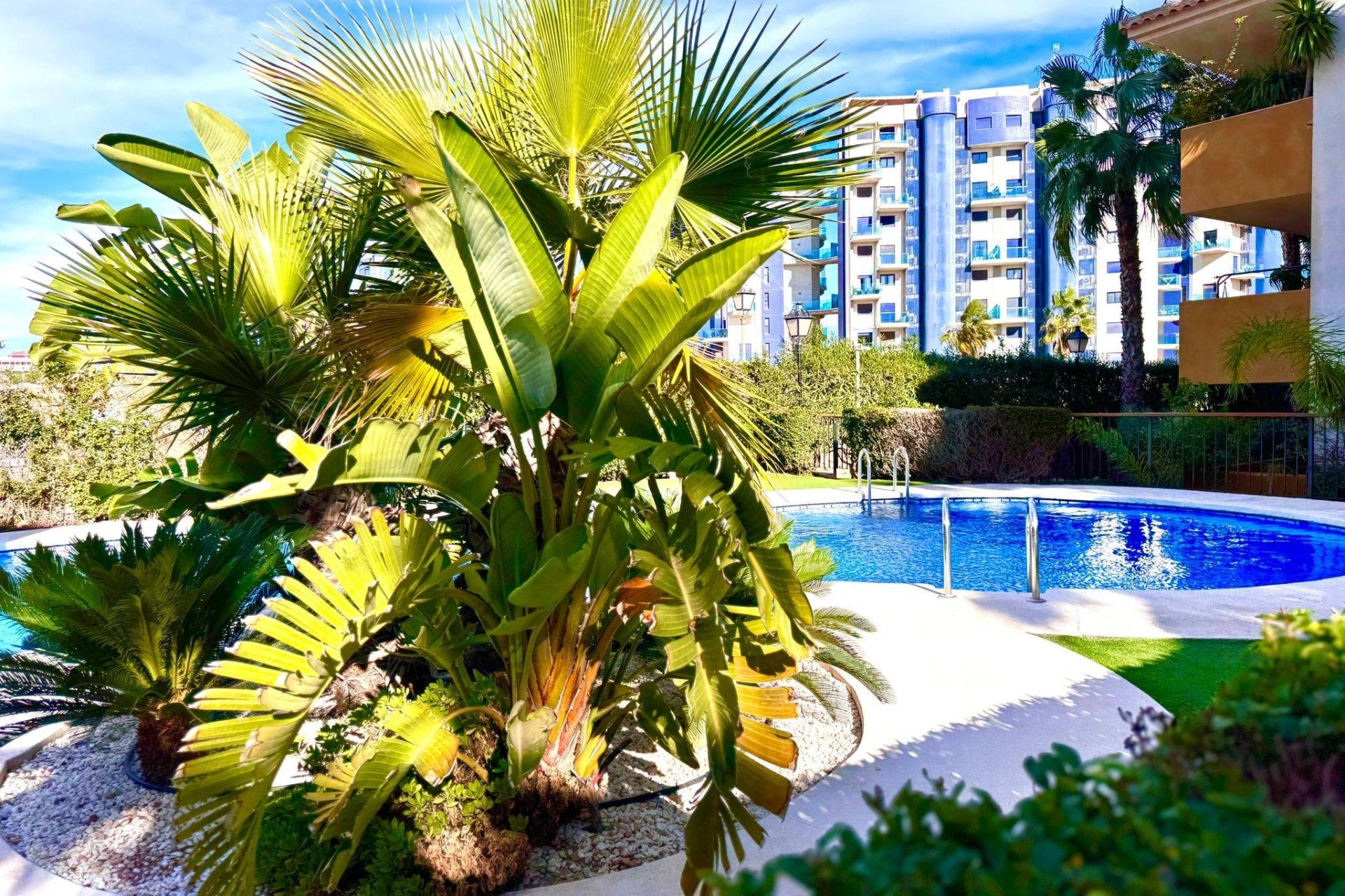 Herverkoop - Appartement -
Torrevieja - Punta Prima