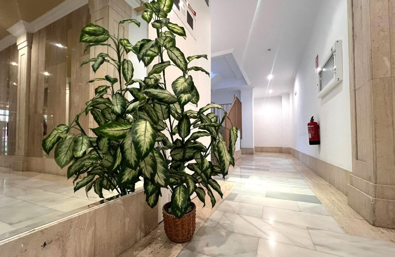 Herverkoop - Appartement -
Torrevieja