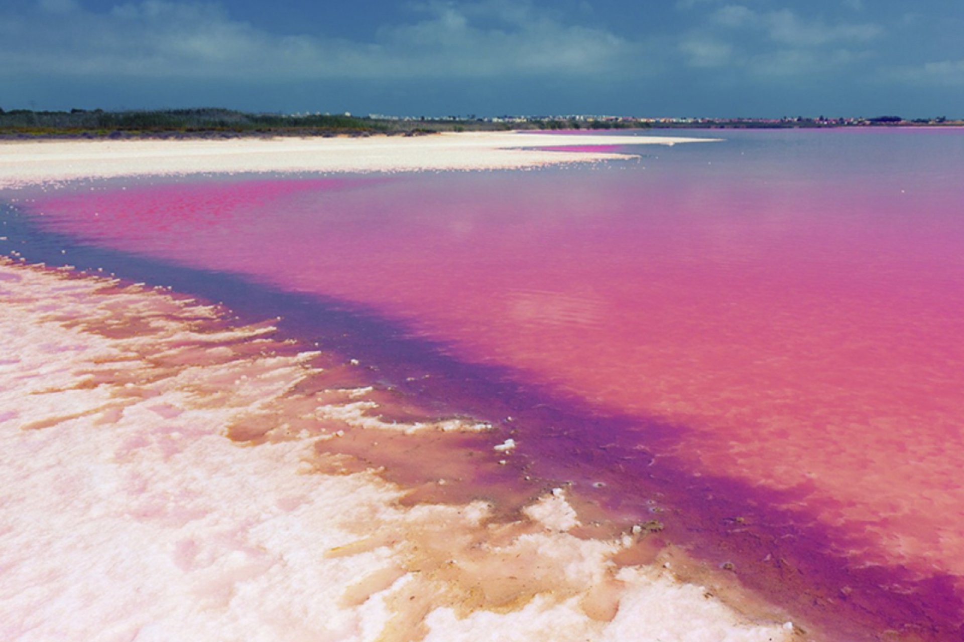 Herverkoop - Appartement -
Villamartin - Costa Blanca