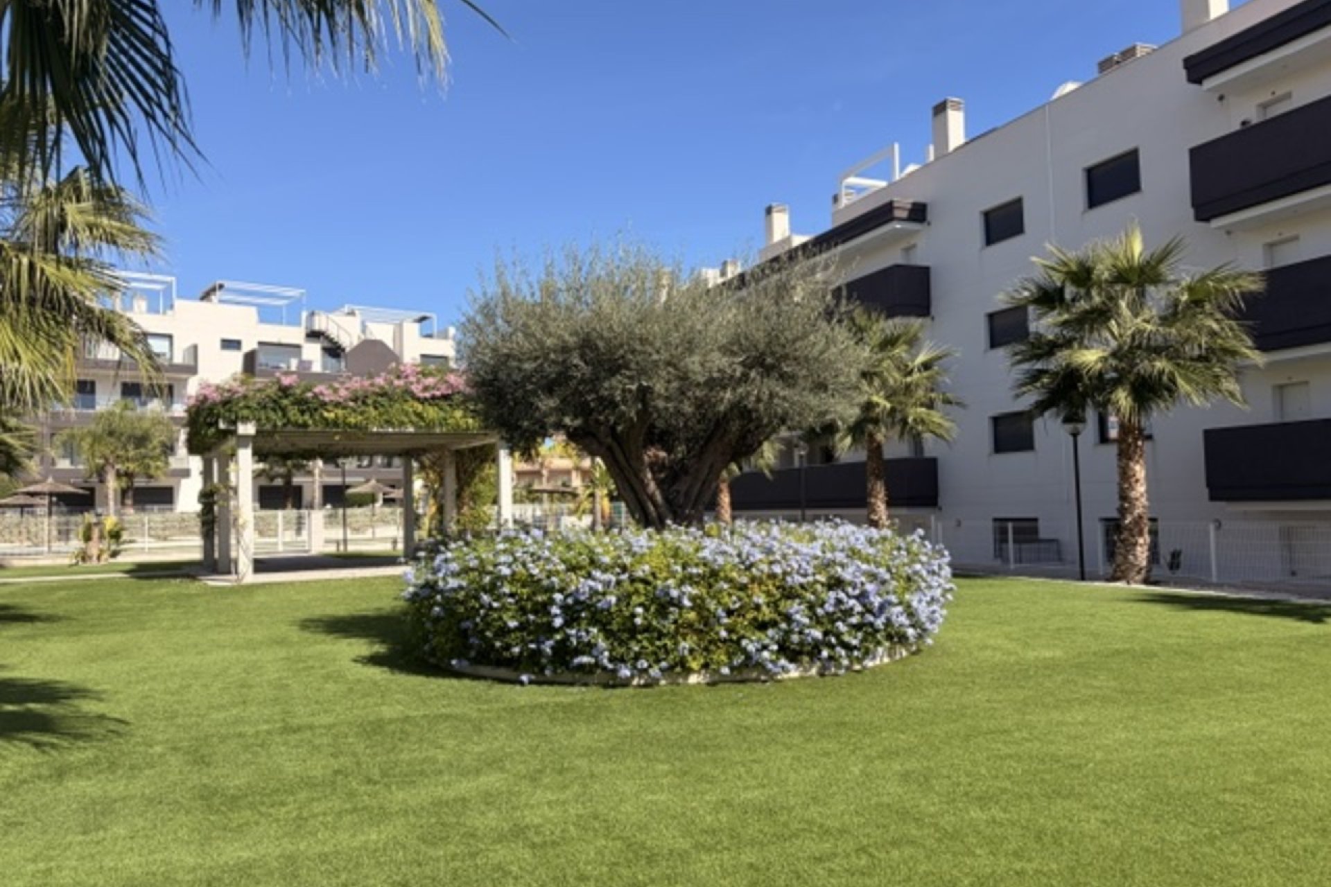 Herverkoop - Appartement -
Villamartin - Costa Blanca