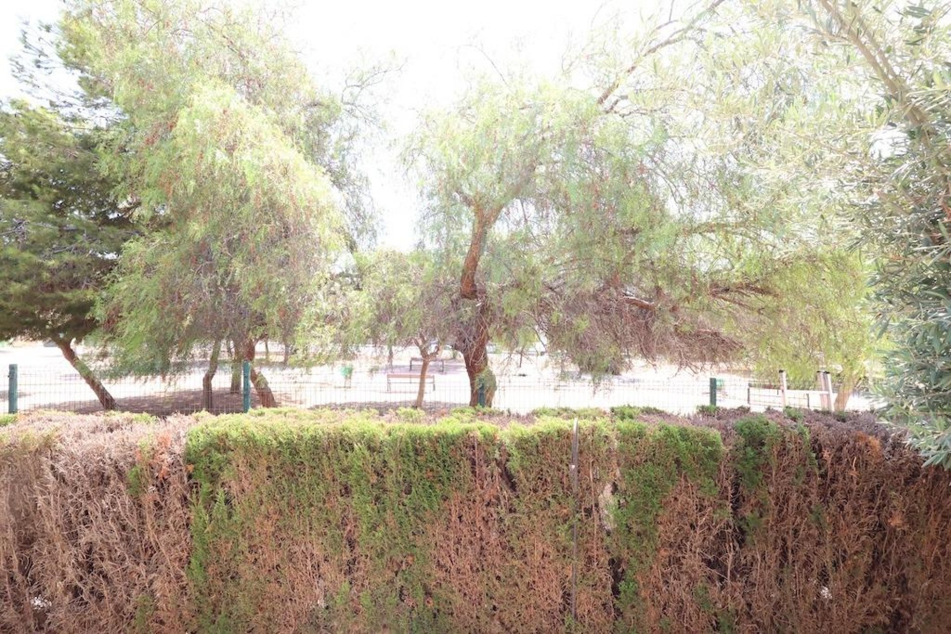 Herverkoop - Bungalow -
Orihuela Costa - Costa Blanca