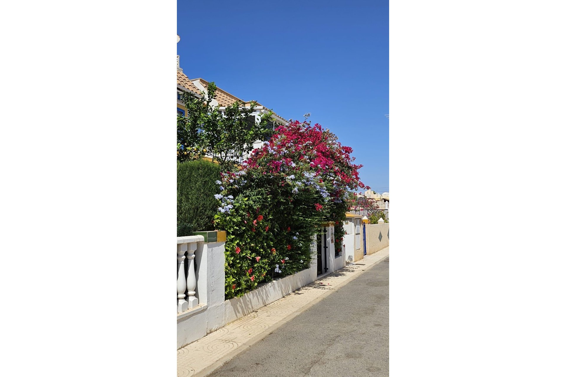 Herverkoop - Bungalow -
Orihuela Costa - Costa Blanca