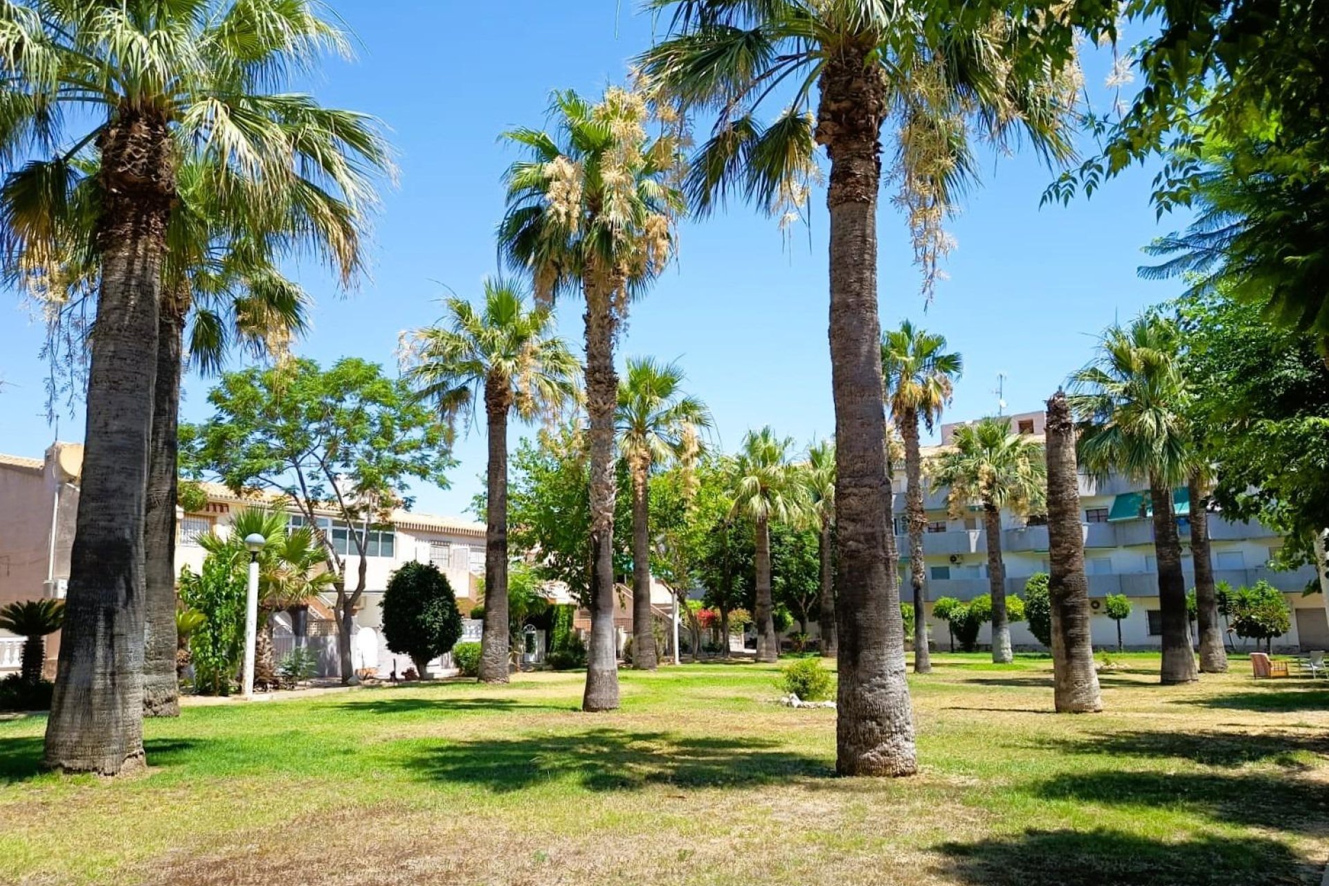 Herverkoop - Bungalow -
Orihuela Costa - Costa Blanca