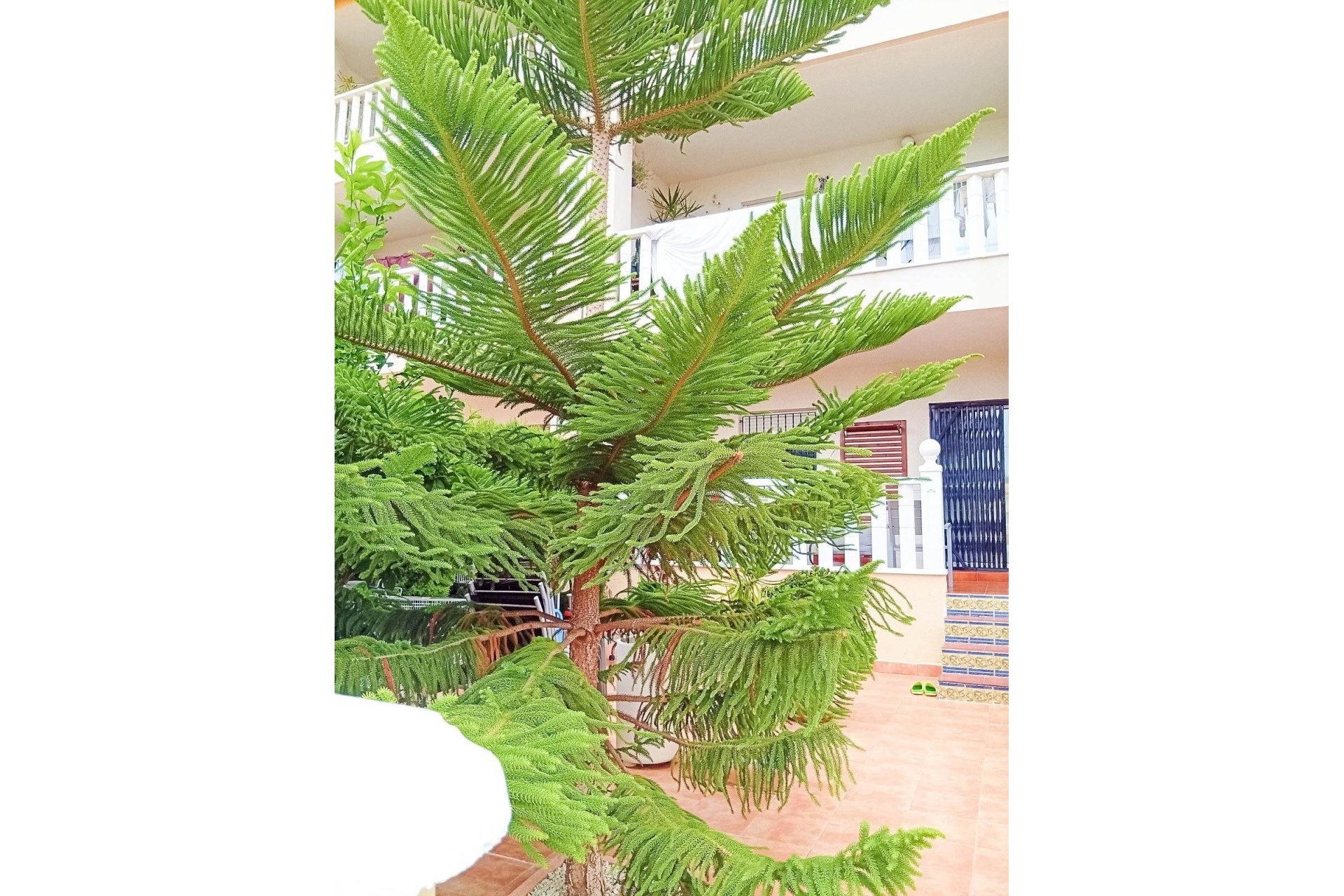 Herverkoop - Bungalow -
Orihuela Costa - Lomas De Cabo Roig-los Dolses