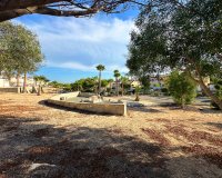 Herverkoop - Bungalow -
San Miguel de Salinas - Inland