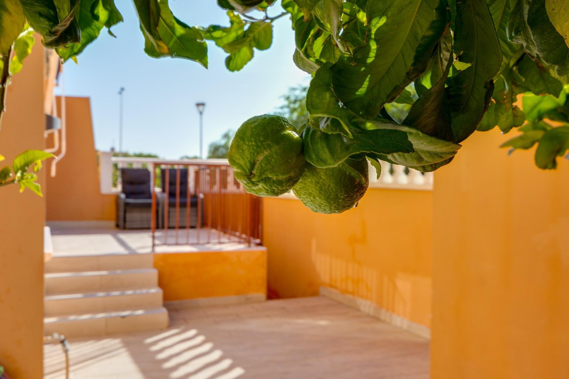 Herverkoop - Bungalow -
Torrevieja - Aguas Nuevas