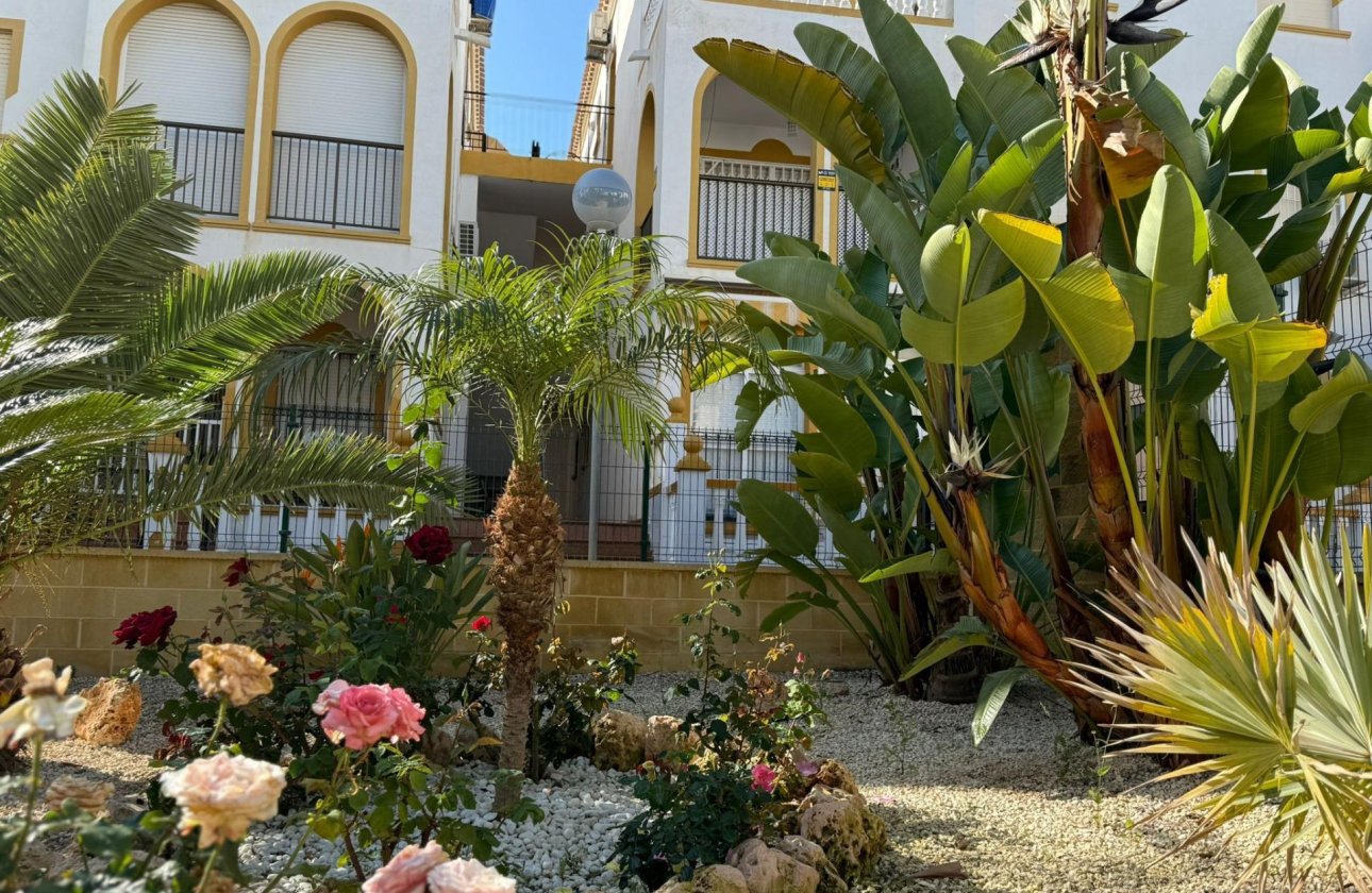 Herverkoop - Bungalow -
Torrevieja - Cañada Del Molino
