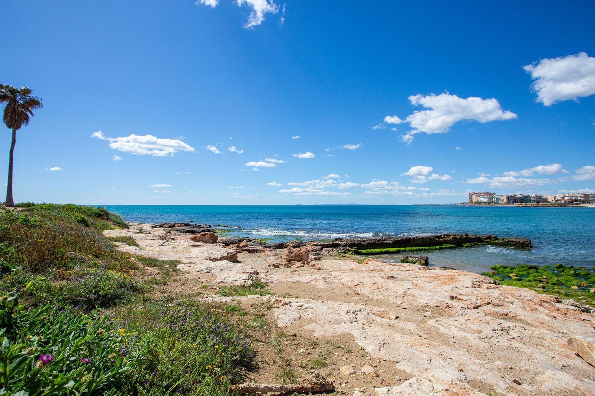 Herverkoop - Bungalow -
Torrevieja - Centro