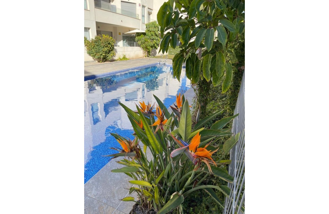 Herverkoop - Bungalow -
Torrevieja - Costa Blanca