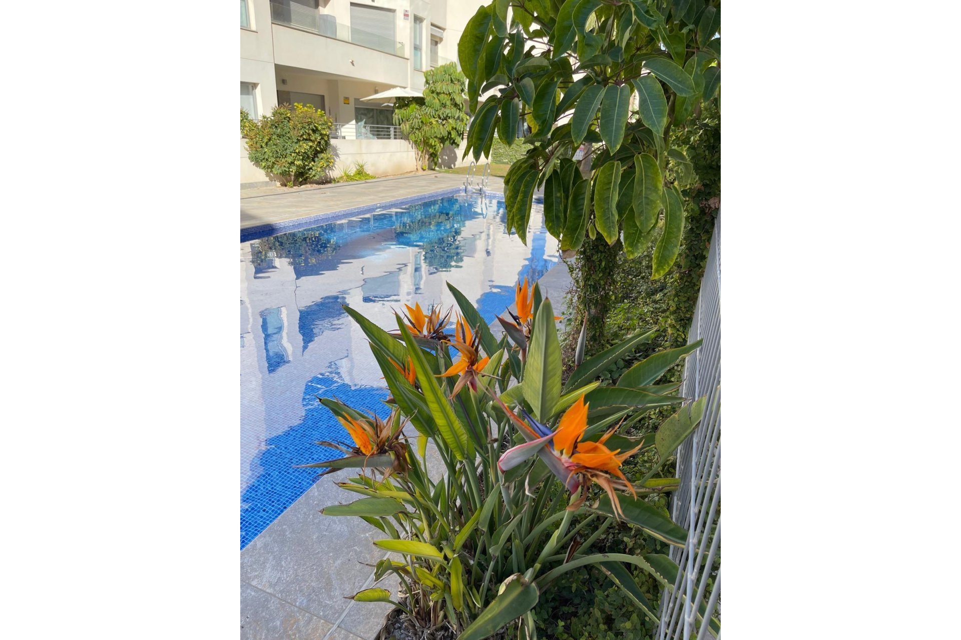 Herverkoop - Bungalow -
Torrevieja - Costa Blanca