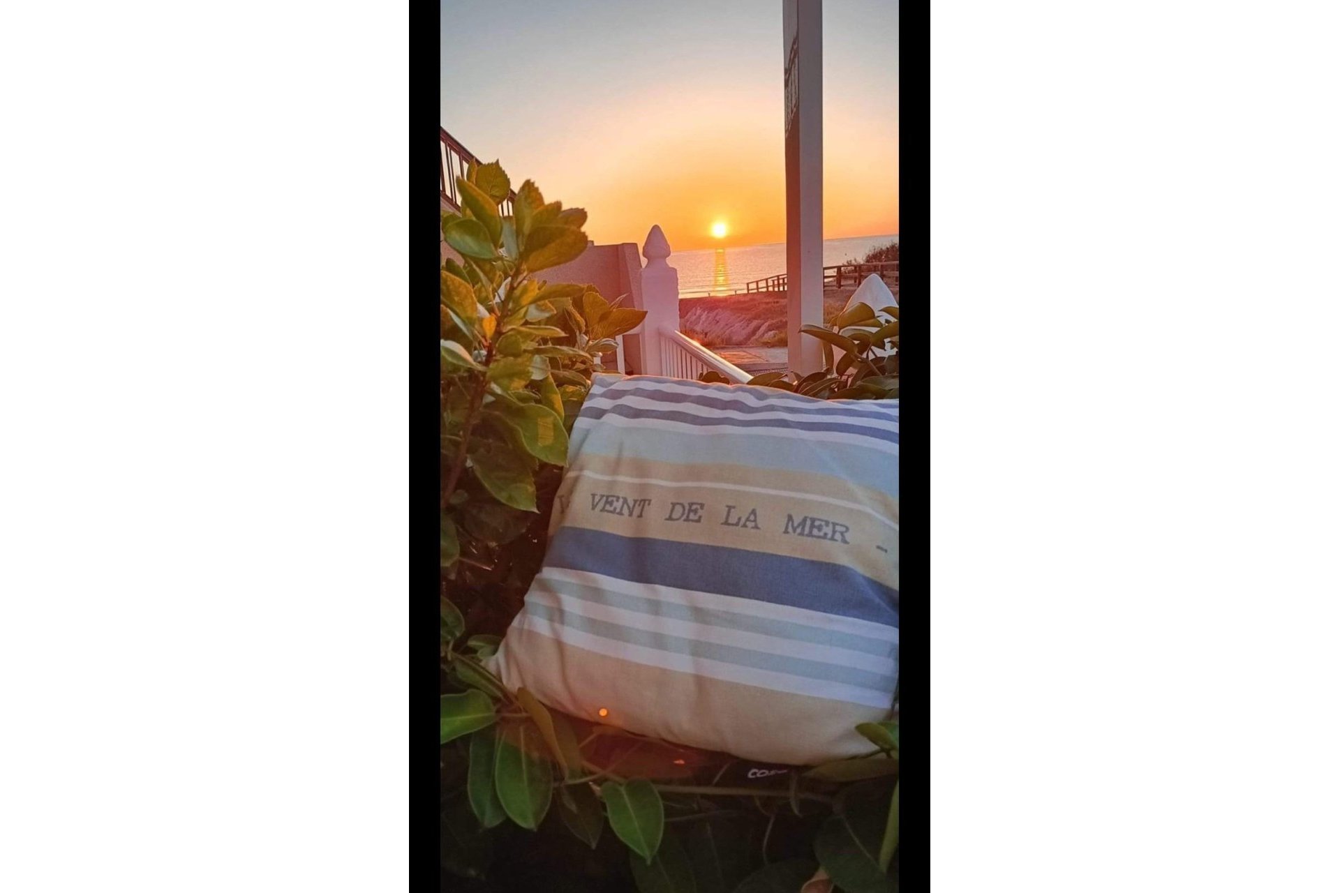 Herverkoop - Bungalow -
Torrevieja - La Mata