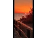 Herverkoop - Bungalow -
Torrevieja - La Mata