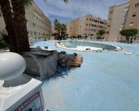 Herverkoop - Bungalow -
Torrevieja - La Siesta - El Salado - Torreta