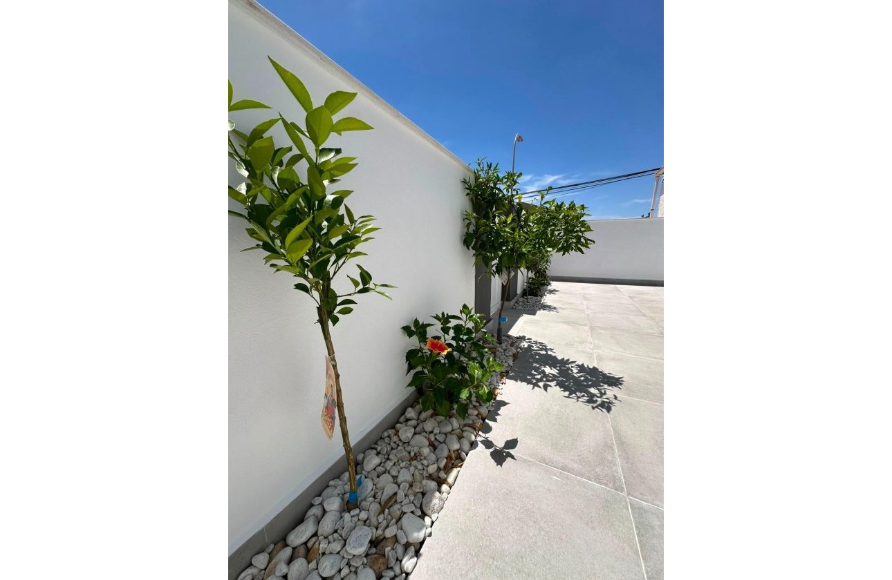 Herverkoop - Bungalow -
Torrevieja - La Siesta - El Salado - Torreta