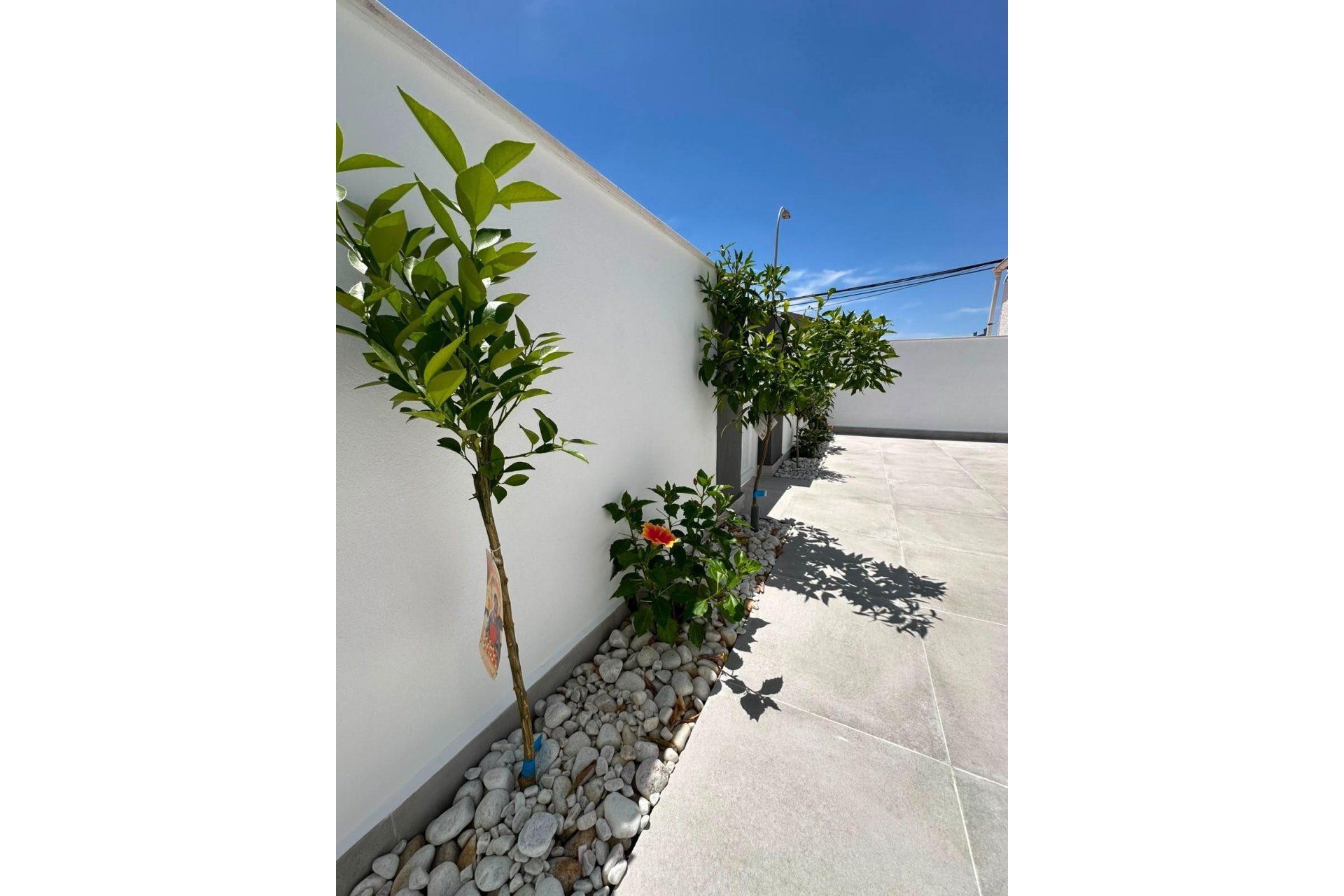 Herverkoop - Bungalow -
Torrevieja - La Siesta - El Salado - Torreta