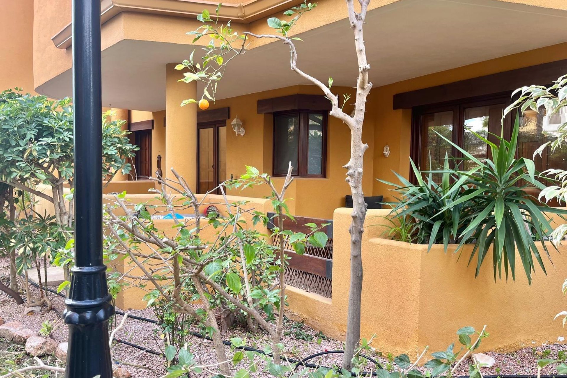 Herverkoop - Bungalow -
Torrevieja - Punta Prima