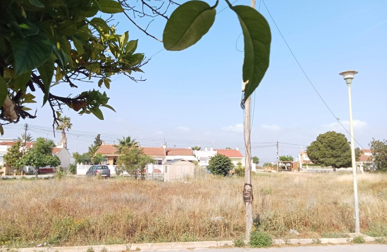 Herverkoop - Bungalow -
Torrevieja - Torretas