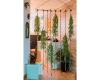 Herverkoop - Dúplex -
Torrevieja - Acequion