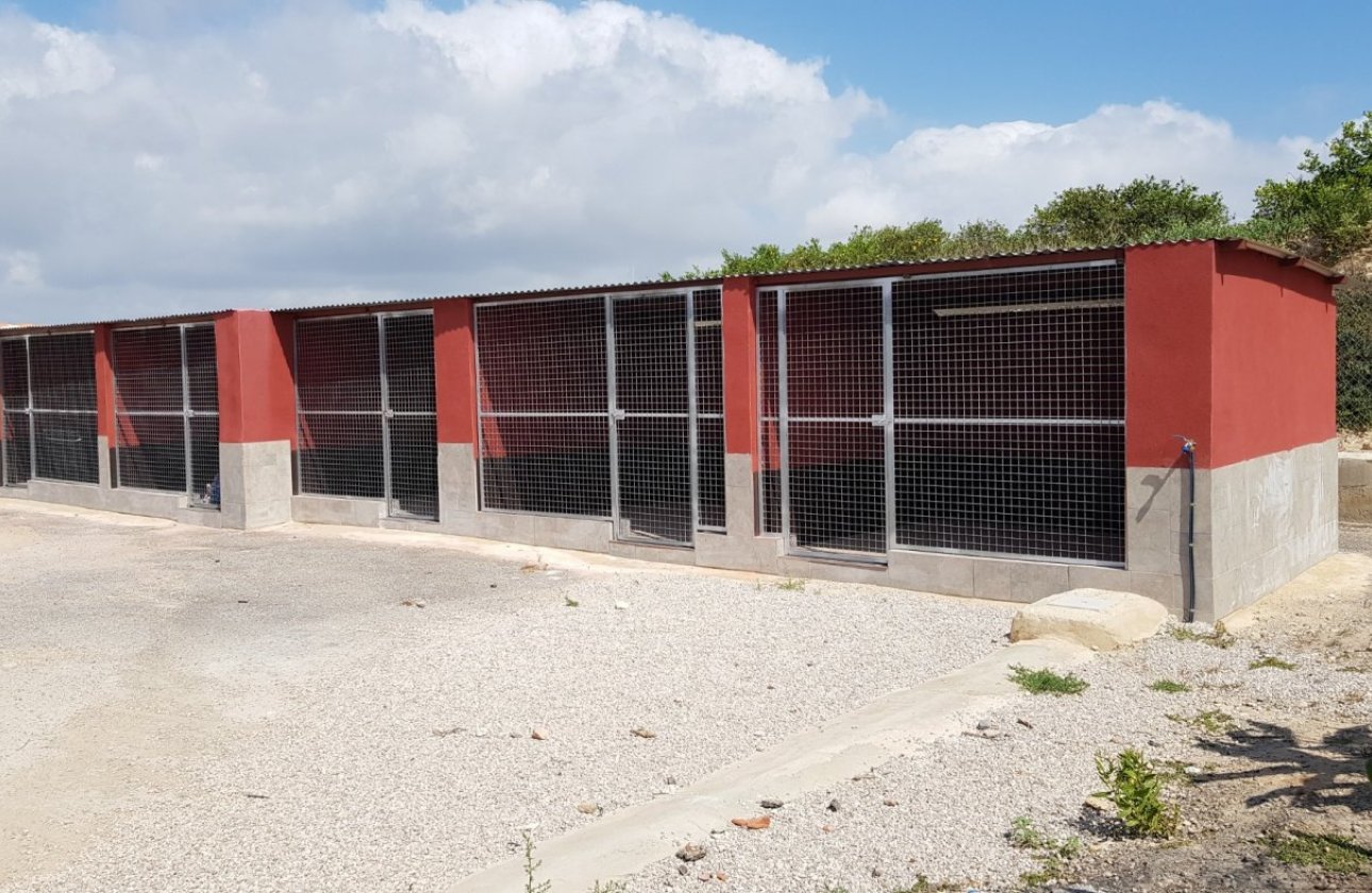 Herverkoop - Finca -
Los Montesinos